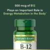 Nature’s Bounty Vitamin B12 500 mcg (100 Tablet) price in Bangladesh