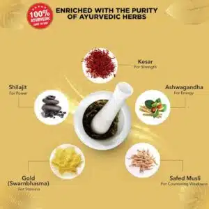 Dabur Shilajit Double Gold Capsule (30 Capsules) in Bangladesh