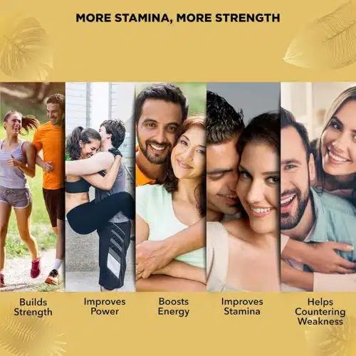 Dabur-Shilajit-Double-Gold-Capsule