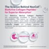 NeoCell Grassfed Collagen Peptides Powder 600g price in Bangladesh