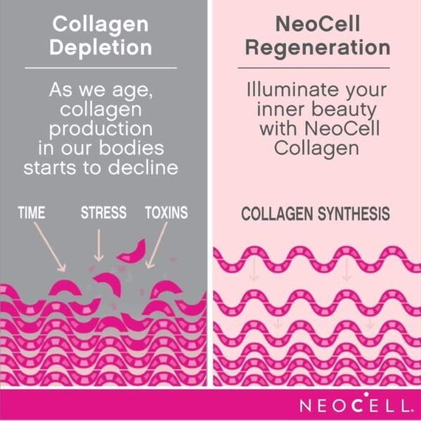 NeoCell Grassfed Collagen Peptides Powder 600g price in Bangladesh